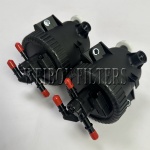 190165 CITROEN / PEUGEOT Fuel Filter Assy Replacement