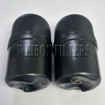 CS41011 SO10093 Oil Filter Replacement